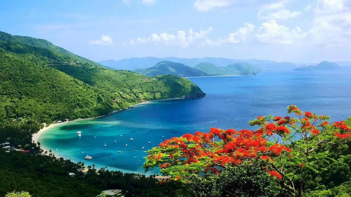 节能网络化智能化